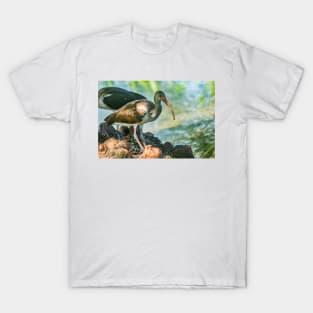 American white ibis 3 T-Shirt